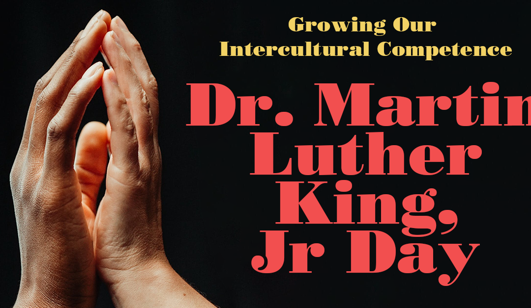 Dr. Martin Luther King, Jr Day Suggestions